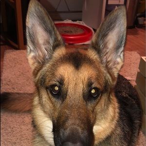 Meet your Posher, Leisha